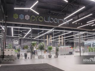 Портфолио